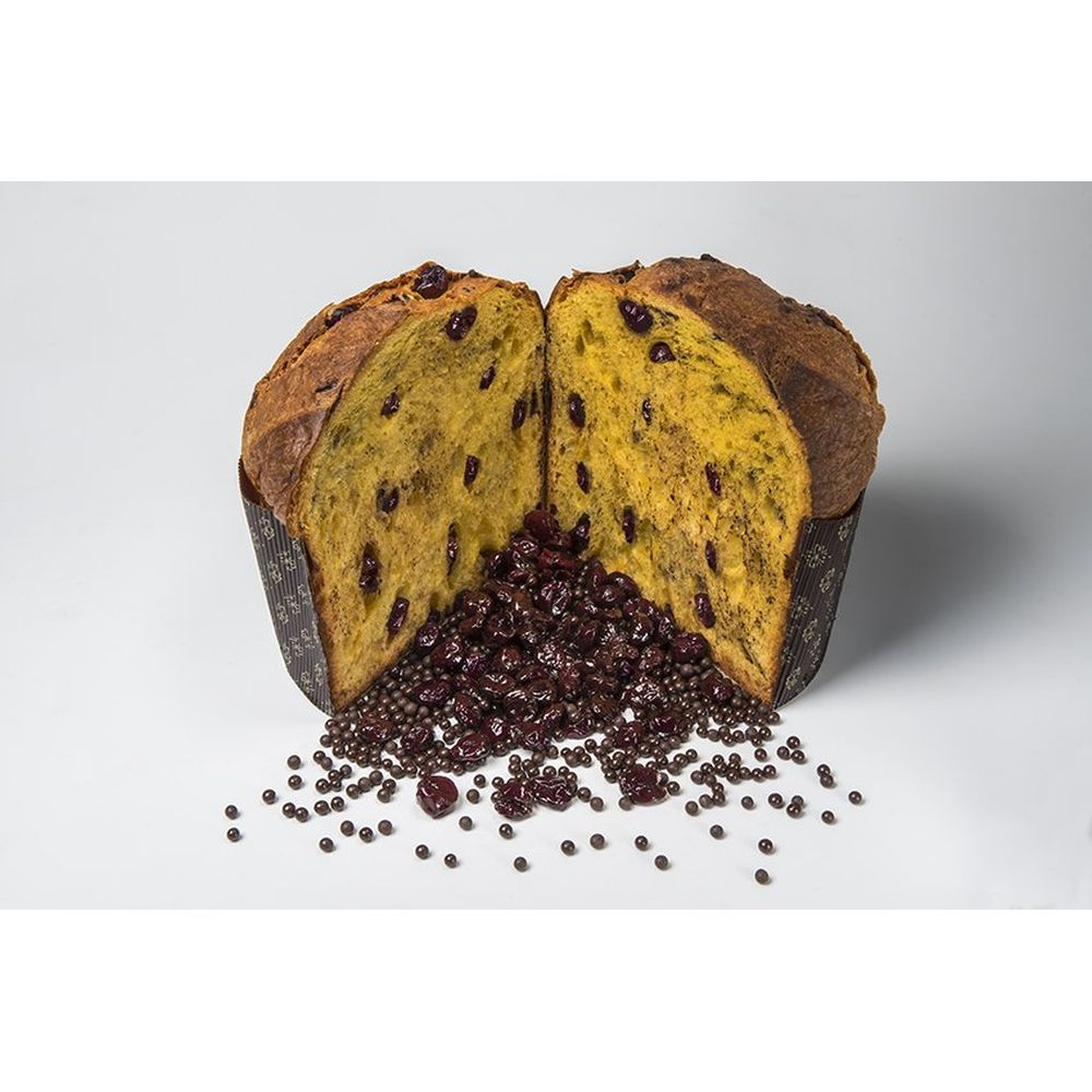 lievitati_panettone_al_cioccolato_con_visciole_di_cantiano_low_risultato